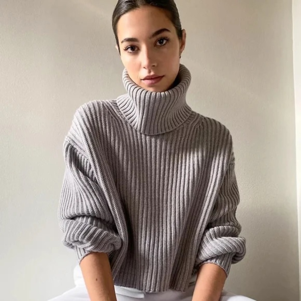 Aritzia Babaton Guell Sweater Merino Grey